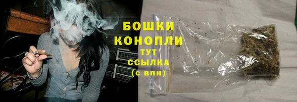 шишки Балахна