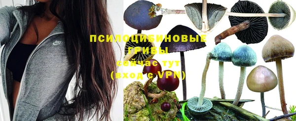 ALPHA PVP Баксан