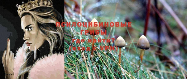 молекула духа Балабаново