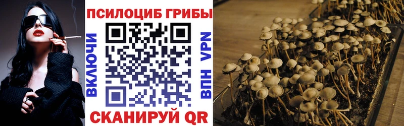 Галлюциногенные грибы Cubensis  Кузнецк 