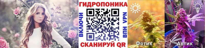 Канабис гибрид  Кузнецк 